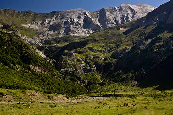 vallee-de-pineta