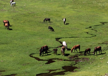 -rando famille enfant topo Chevaux-au-lac-Nino-en-Corse