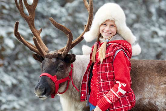 noel-en-laponie-en-famille-renne-et-enfant