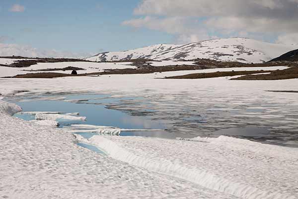 Sognefjell-Norvège-avec-enfants