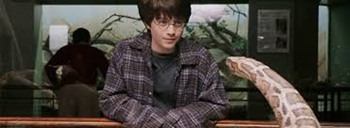circuit harry potter