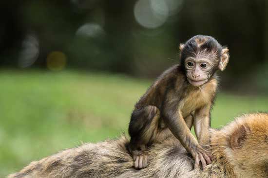 visiter alsace en famille