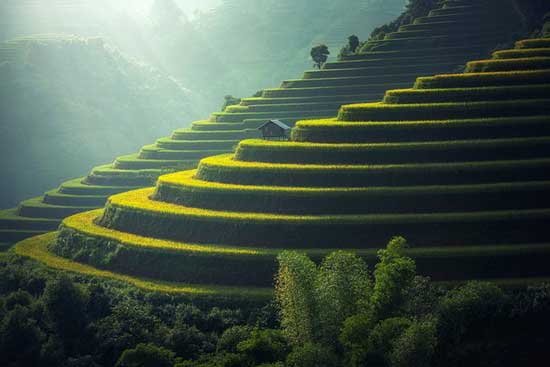 visiter-la-thailande-en-famille-rizières
