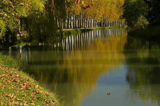 canal-du-midi-en-famille-toulouse