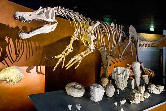 musee enfant toulouse 