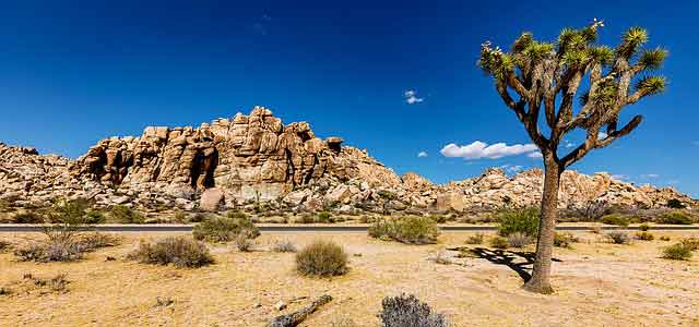 sejour-etats-unis-en-famille
