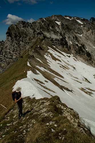 https://dev.enfant-en-voyage.com/wp-content/uploads/2019/06/lances-de-malissard-randonnée-en-famille-alpes.jpg