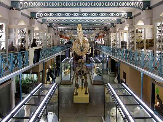 musee-enfant-lille