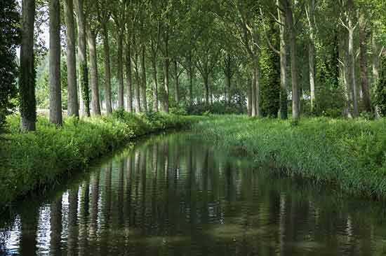 que-faire-a-bruges-en-famille-balade