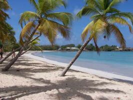 sejour-en-martinique-en-famille