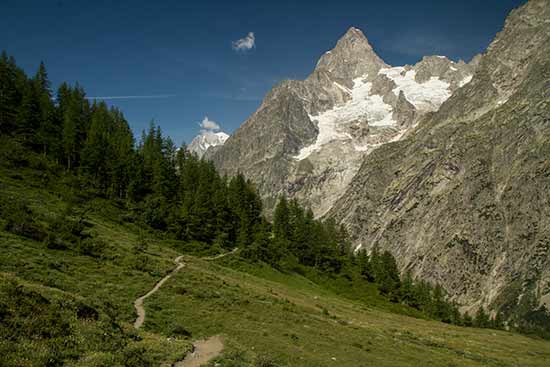 rando-val-ferret