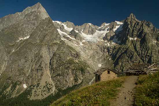 val-ferret