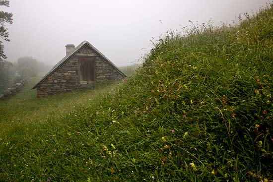 le-cirque-du-lys