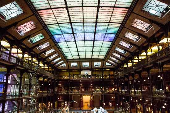 galerie-évolution