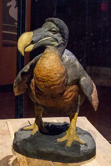 galerie-evolution