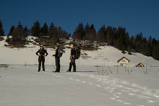 plateau-de-la-molière-vercors