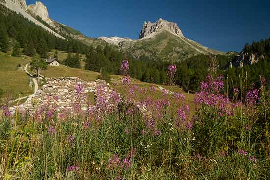 le-mont-thabor