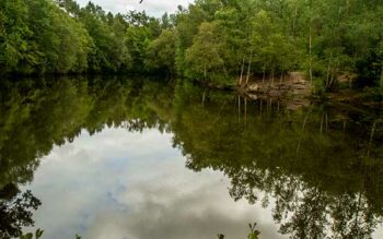 balade famille broceliande