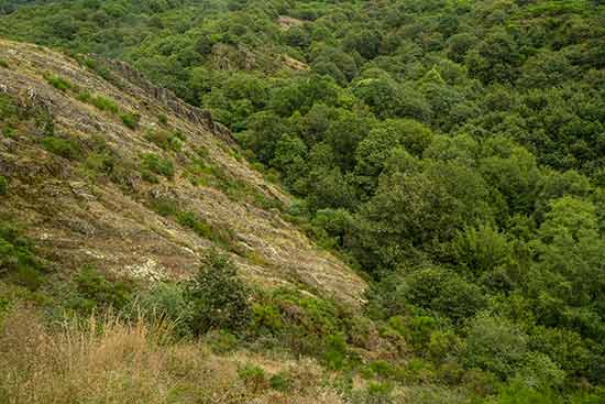 rando-broceliande