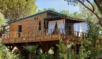 cabane famille
