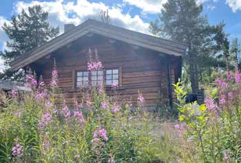 chalet-norvege