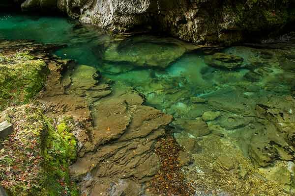 les-gorges-de-vintgar