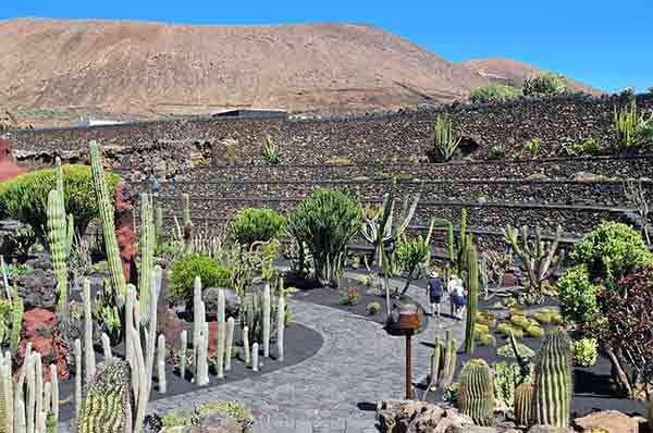 voyage-lanzarote-famille