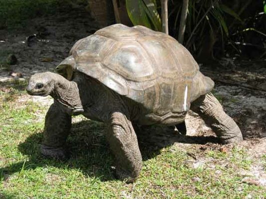 voyage-seychelles-famille