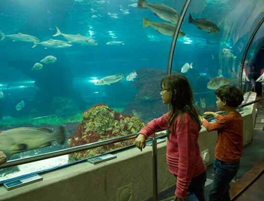 Aquarium-barcelone-enfans-océanorium