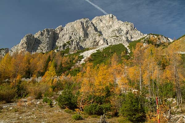 slovenie famille