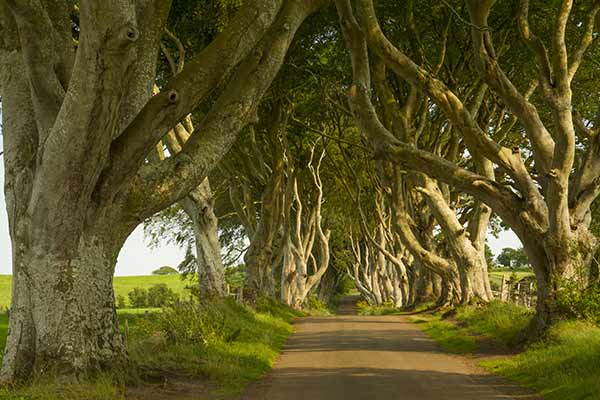 chaussée-des-géants-game-of-thrones