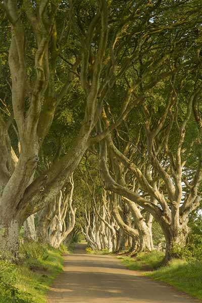 voyage-en-irlande
