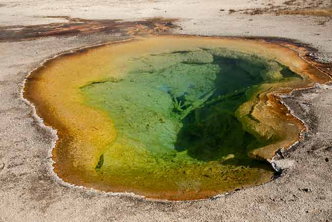 -Biscuit-Basin-Midway-Geyser--Yellowstone-USA