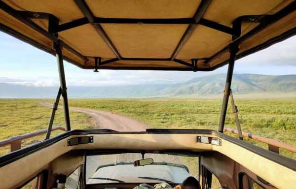 safari-4x4