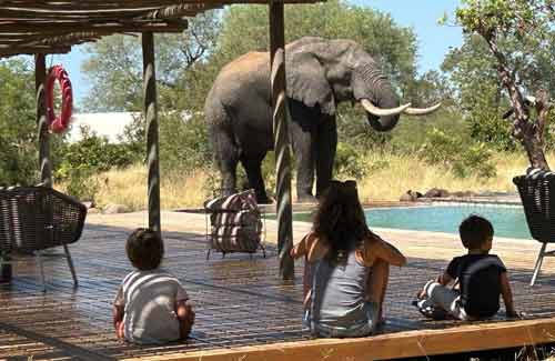 safari-avec-enfants