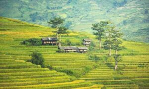 voyage-bali-en-famille
