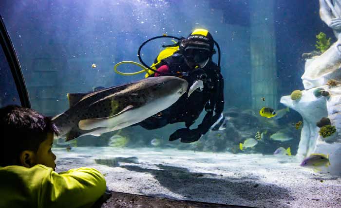 aquarium-porto-avec-enfants